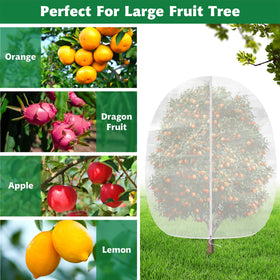 Evoio blueberry-netting-bag protects blueberry bushes while letting water and sun reach berries.