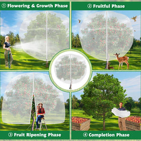 Evoio protects plants while enabling watering and sunlight.