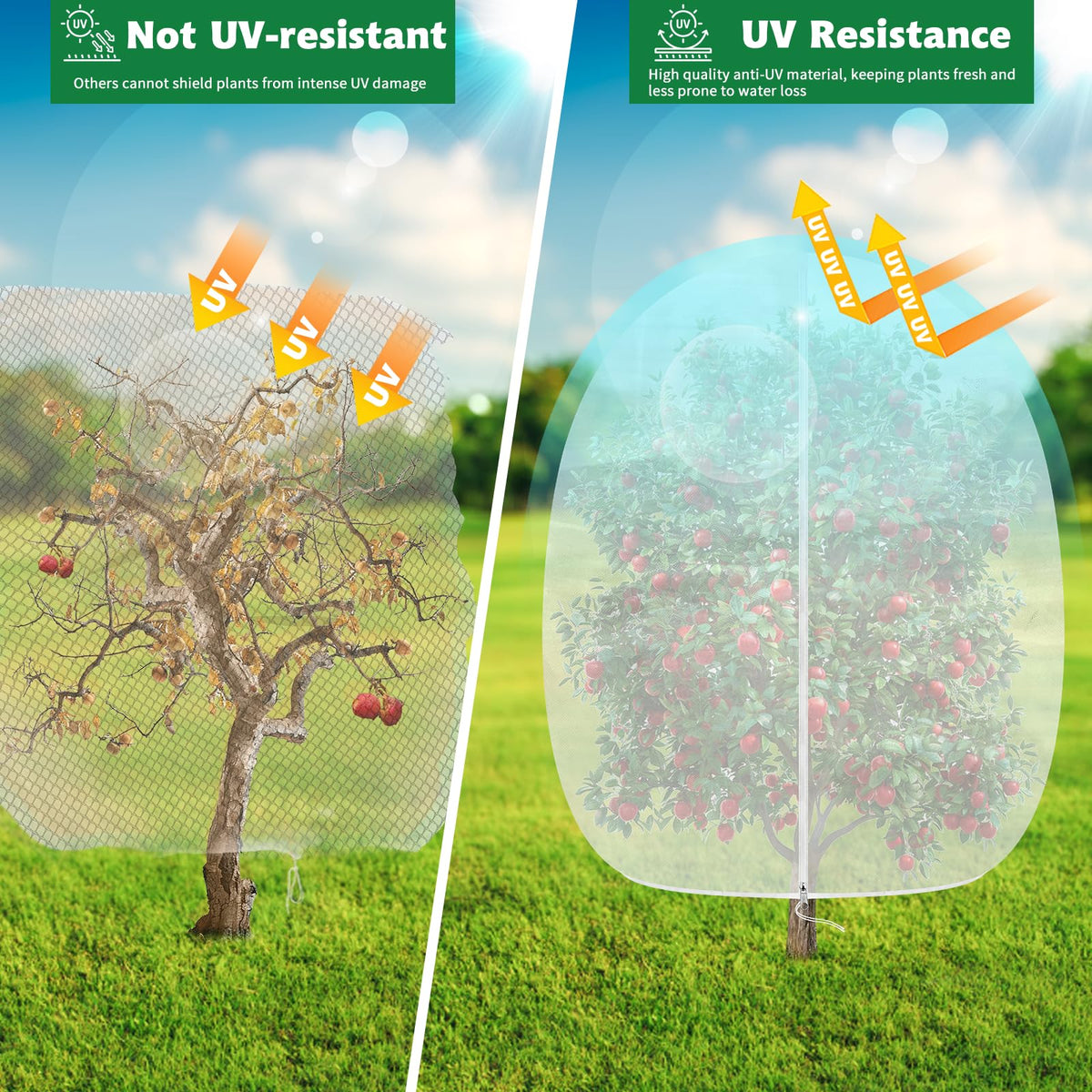 Evoio set-of-2-plant-protection-nets provides versatile coverage for trees, shrubs, and vegetables.