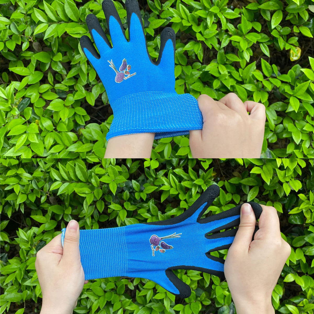 Evridwear blue gloves in planting activity demonstrating dexterity