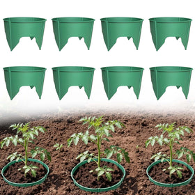 EWENYS 32-pack planting rings protecting seedlings from pests and promoting healthy growth.