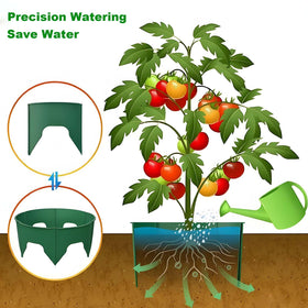 Easy-install EWENYS planting ring assembly around a young plant.