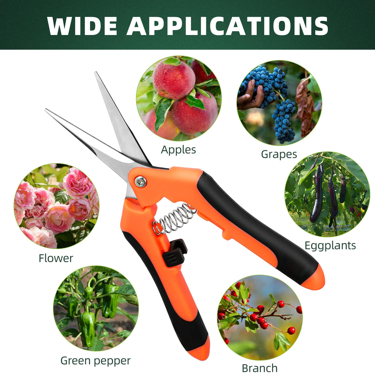 EWPJDK pruning for hydroponics and indoor plants