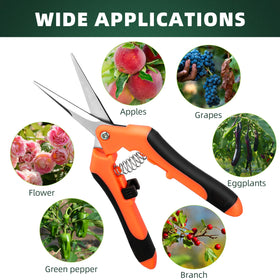 EWPJDK pruning for hydroponics and indoor plants