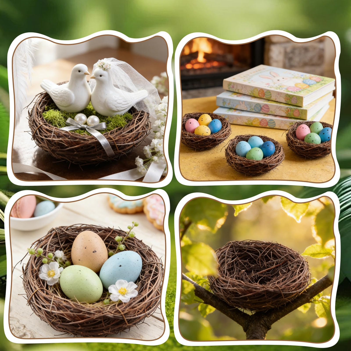 Exasinine DIY terrarium nest supports green miniature worlds