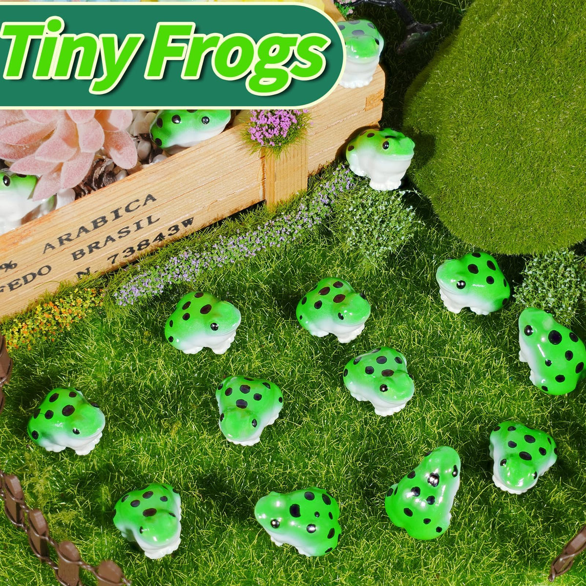Exasinine frog dollhouse garden scene enhances small habitat ornamentation.