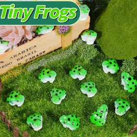 Exasinine frog dollhouse garden scene enhances small habitat ornamentation.