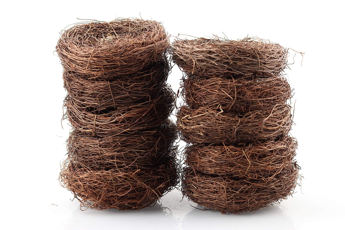 Exasinine spring vignette nest inspires seasonal displays