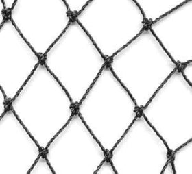 Excursions aviary netting with heavy-knotted 2 inch mesh over a coop for near-invisible protection
