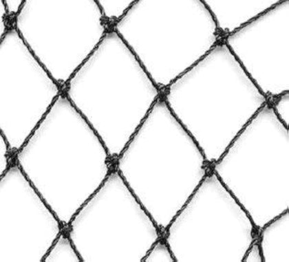 Excursions aviary netting with heavy-knotted 2 inch mesh over a coop for near-invisible protection