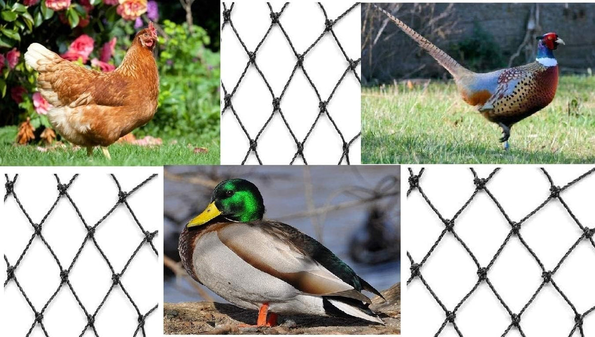 Excursions netting offers 7 to 10 years of longevity in sunny outdoor areas