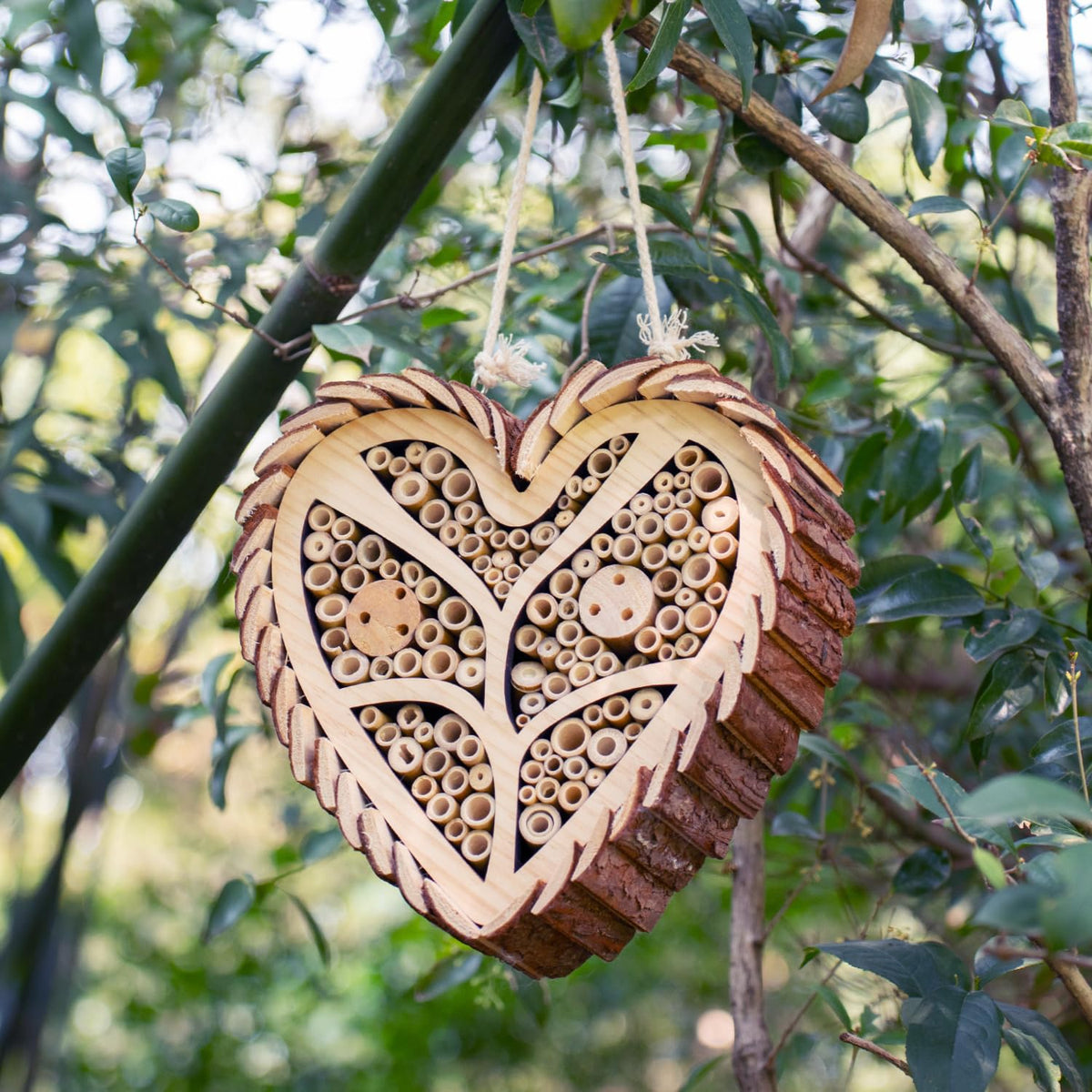 Execabe Mason Bee House with heart design inviting mason bees to nest in your garden