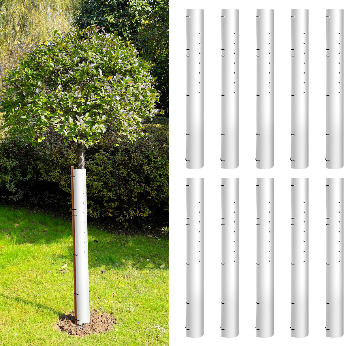 Expdst 60in tree tubes shield saplings from deer while promoting growth.
