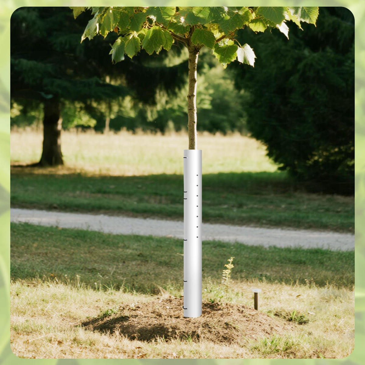 Expdst 60-inch height deters deer while allowing saplings to grow freely.