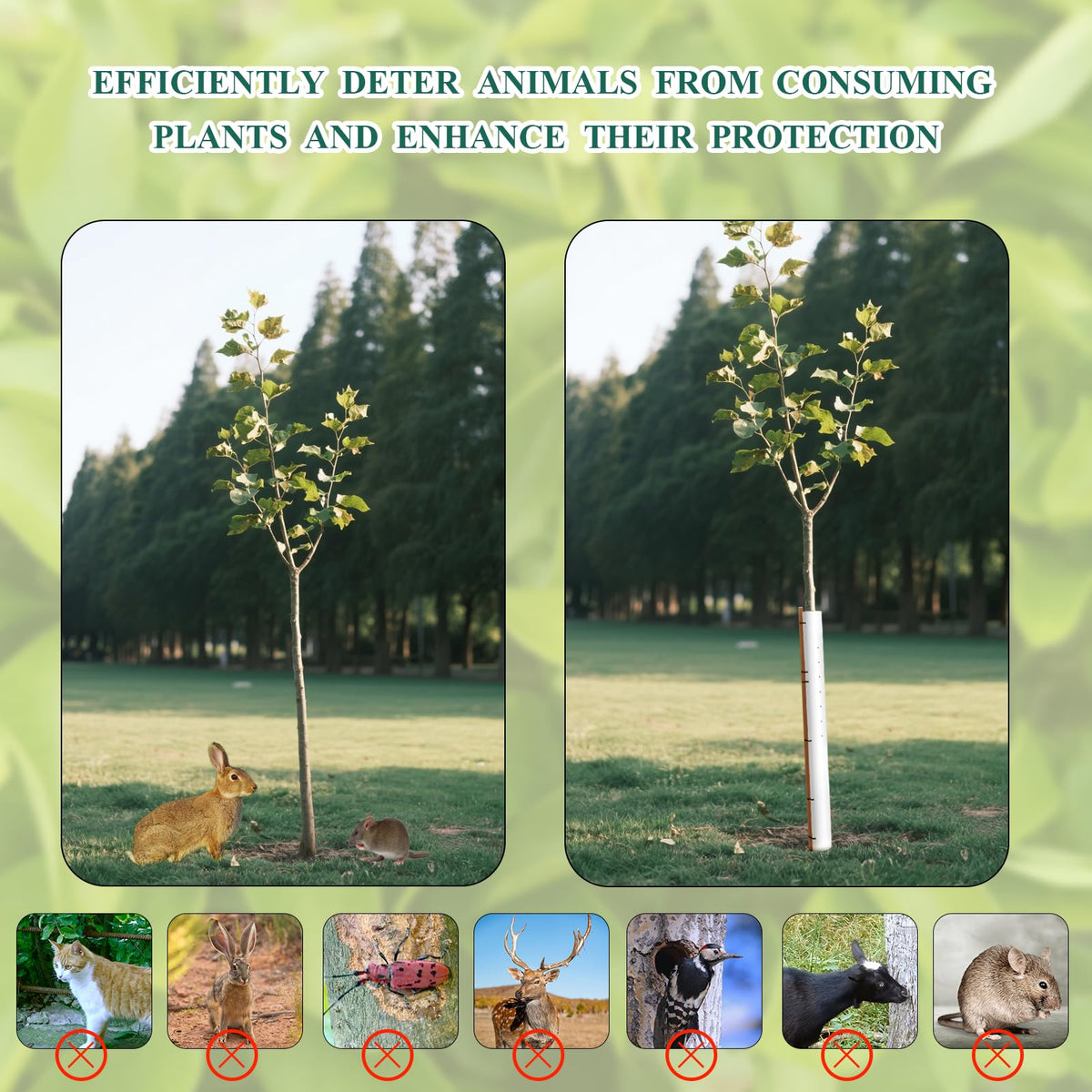 Expdst tubes protect grapevines, berries, and tomatoes from gnawing.