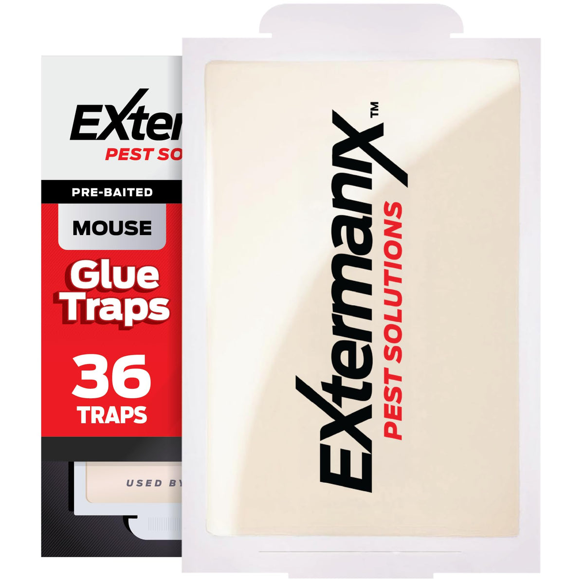 Extermanix mouse traps indoors with wall placement for effective capture