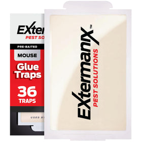 Extermanix mouse traps indoors with wall placement for effective capture