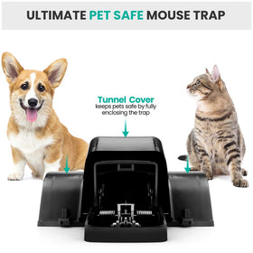 eXuby rat trap highlighting pet-safe design suitable for homes with pets