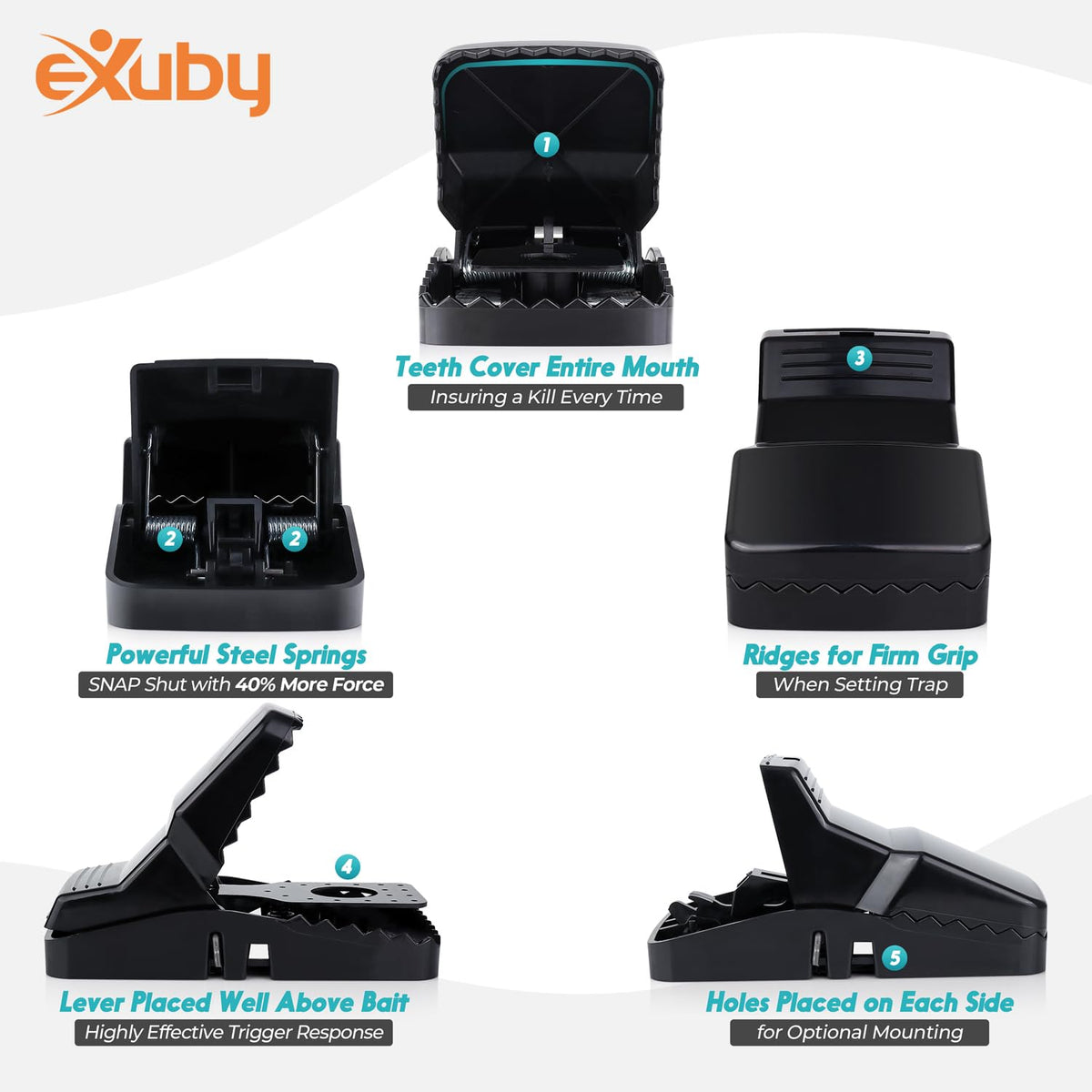 eXuby Squirrel Trap ideal for attic and garden use