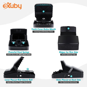 eXuby Squirrel Trap ideal for attic and garden use