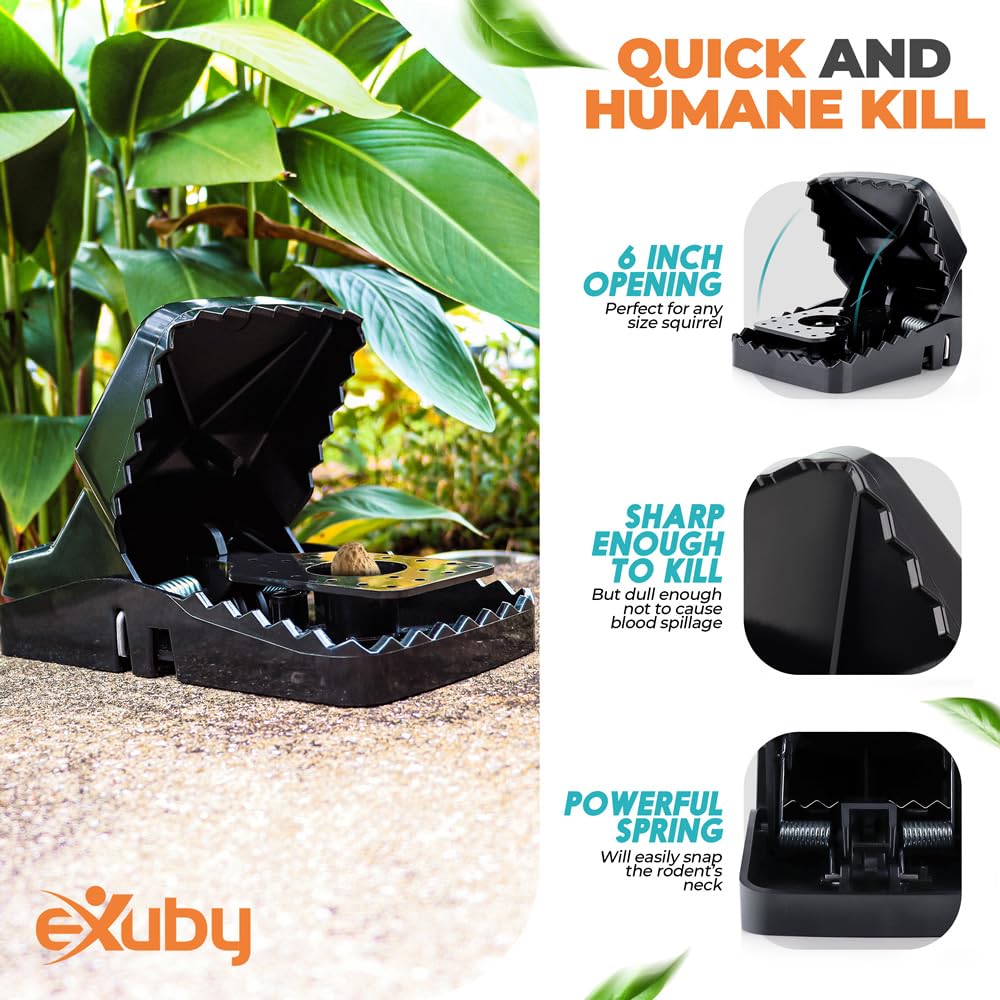 eXuby Squirrel Trap chemical-free solution for safe homes