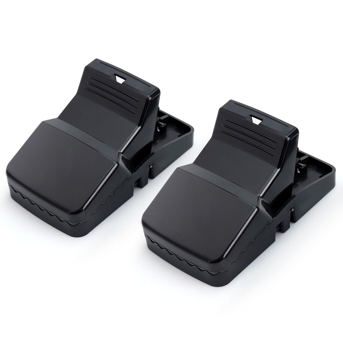 eXuby Squirrel Trap compact dimensions 8x4.25-inches