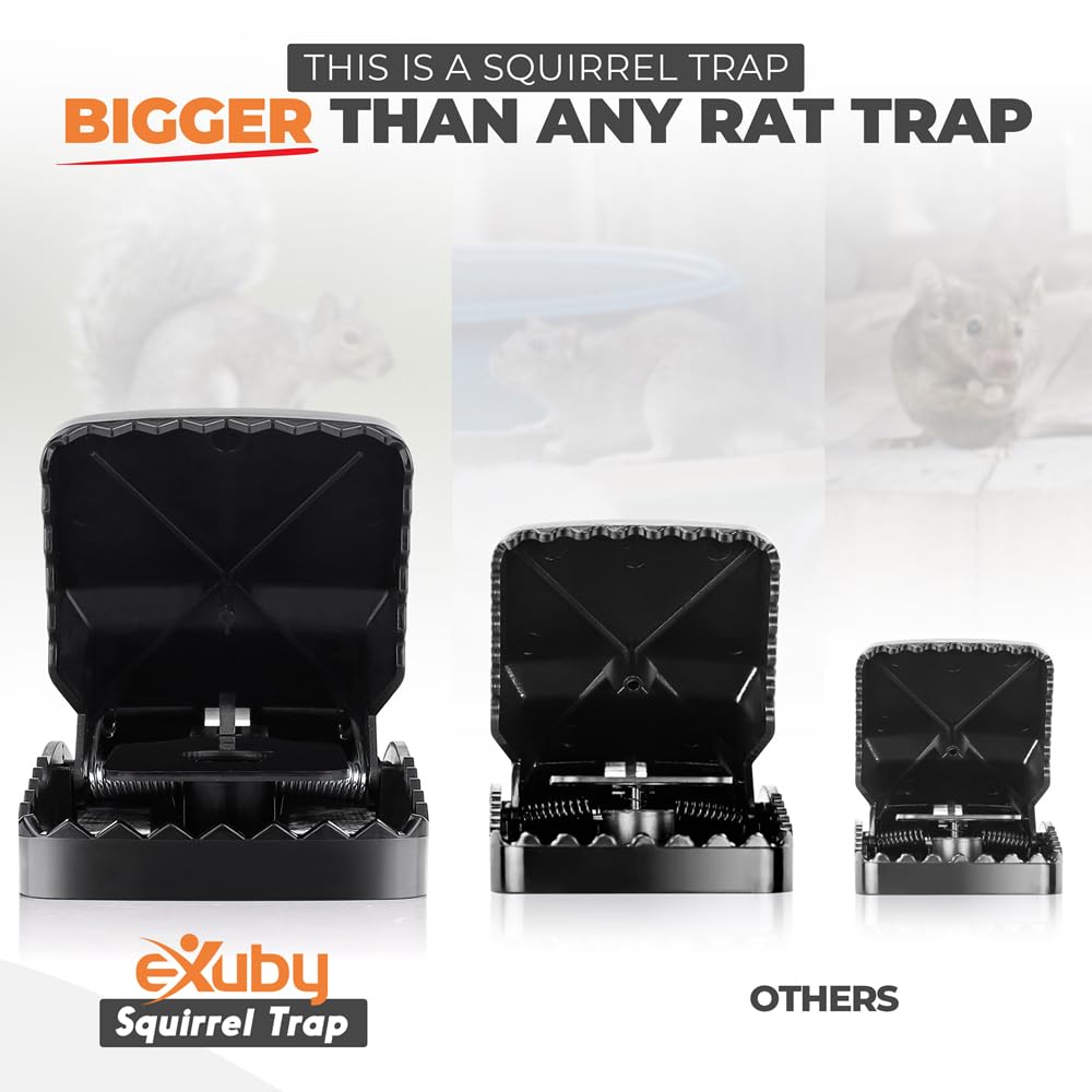 eXuby Squirrel Trap easy setup for fast deployment