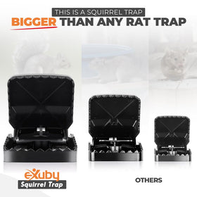 eXuby Squirrel Trap easy setup for fast deployment