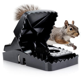eXuby Squirrel Trap with 5-inch opening for quick captures