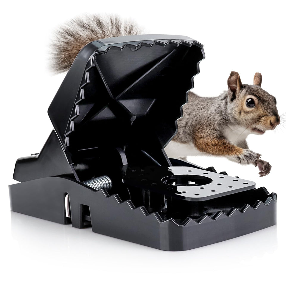 eXuby Squirrel Trap with 5-inch opening for quick captures