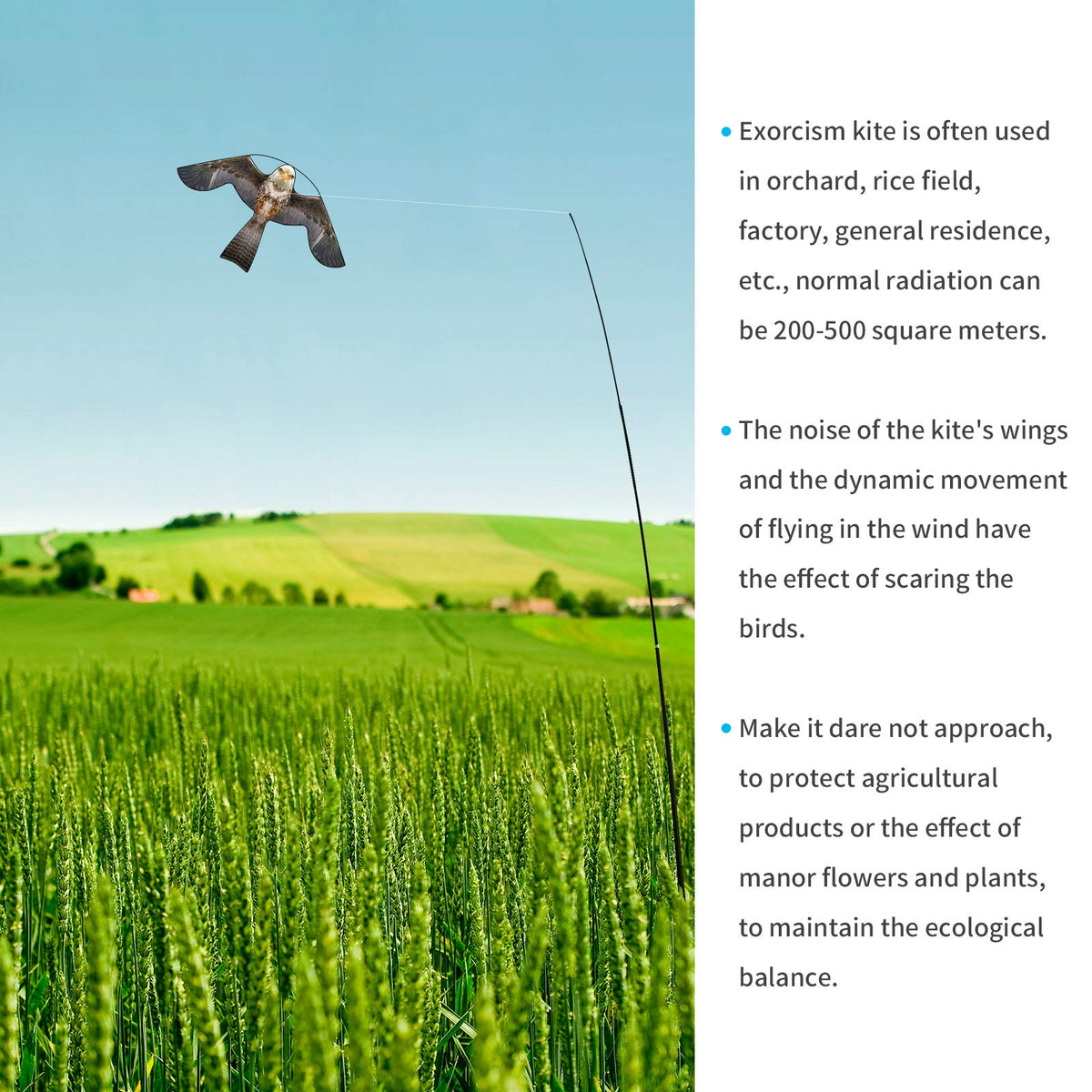 eyijklzo Eagle kite flight with wind visual deterrent for farms and gardens.
