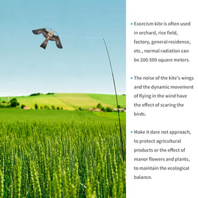 eyijklzo Eagle kite flight with wind visual deterrent for farms and gardens.