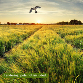 Eyijklzo grey bird scarer kite used in farm settings to protect crops