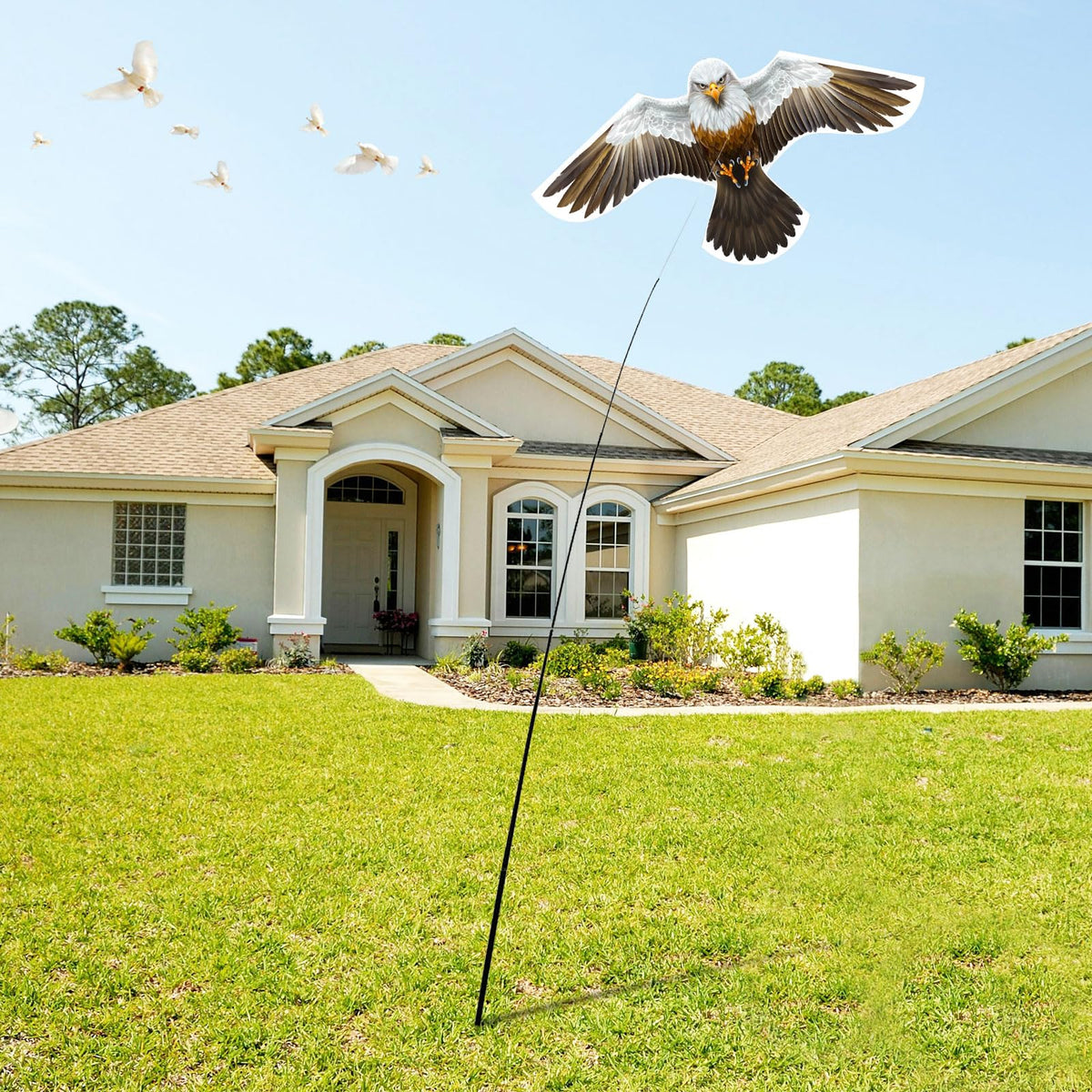 eyijklzo Versatile Bird Control for farms, orchards, and yards.