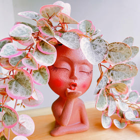 EylbKey resin textures evoke sandstone, marble, or jade in planter art.
