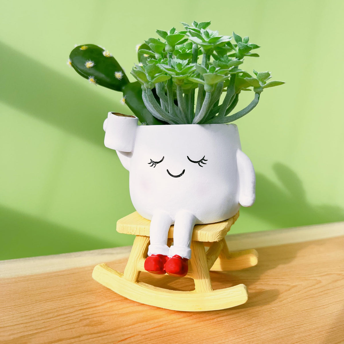 EylbKey desk-friendly planter suits compact spaces and gifting ideas.