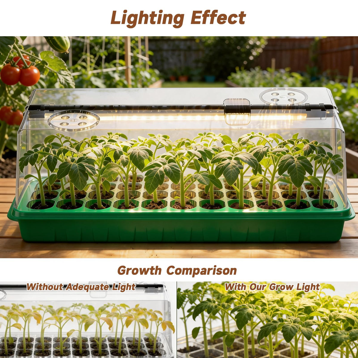 Eyriolya 144-cell seed-starter-tray keeps seedlings organized and spacious