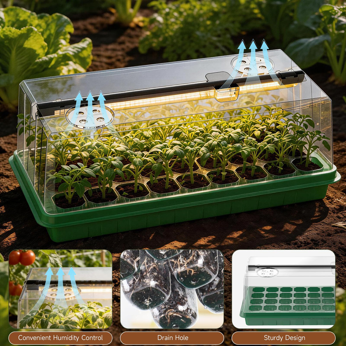 Eyriolya drainage-holes-seed-tray prevent waterlogging for healthier roots