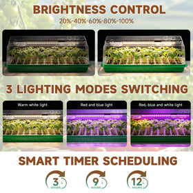Eyriolya full-spectrum-led seed-starter supports healthy leaf and root development