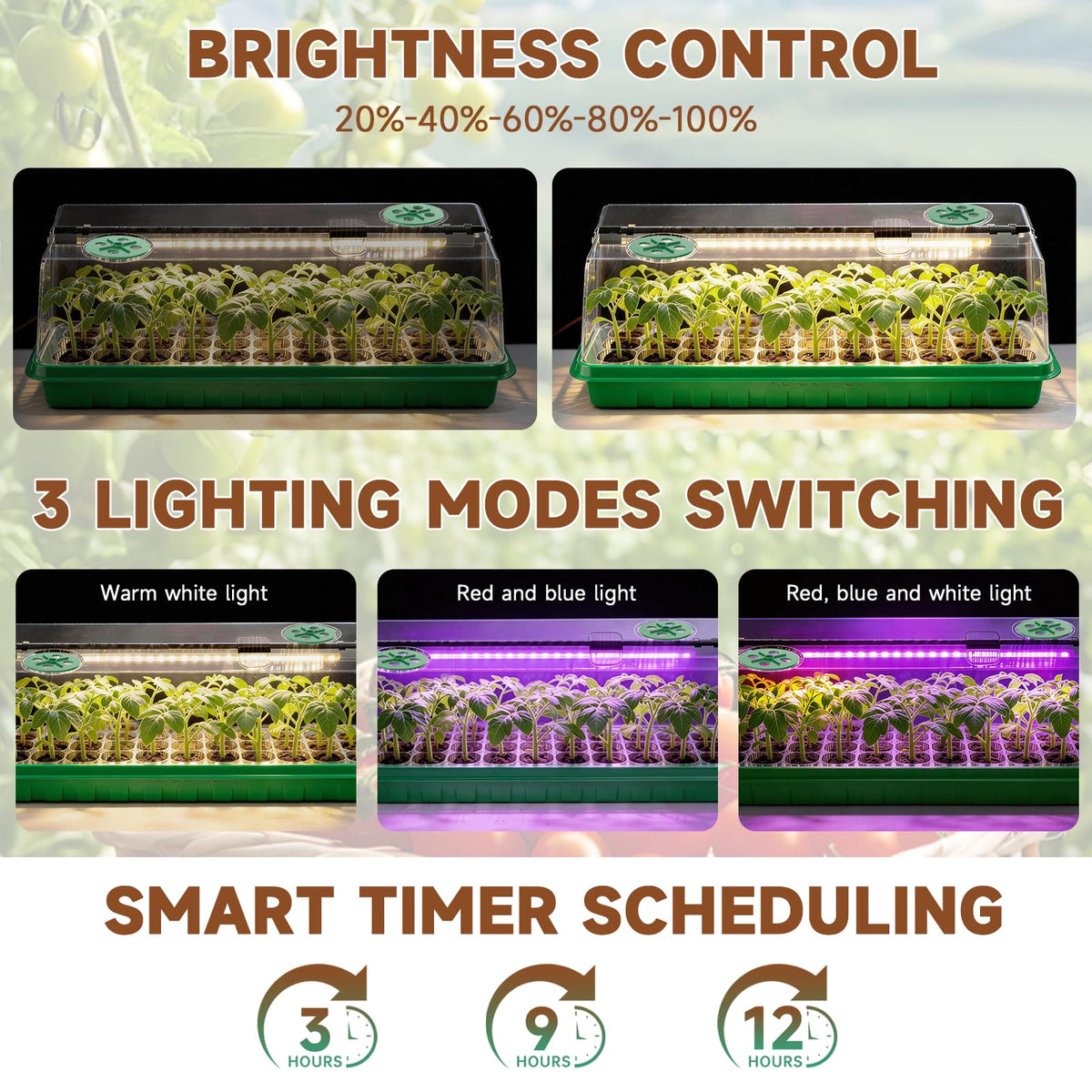 Eyriolya full-spectrum LED setup supports early seedling vigor indoors.