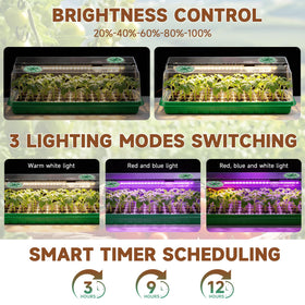 Eyriolya full-spectrum LED setup supports early seedling vigor indoors.