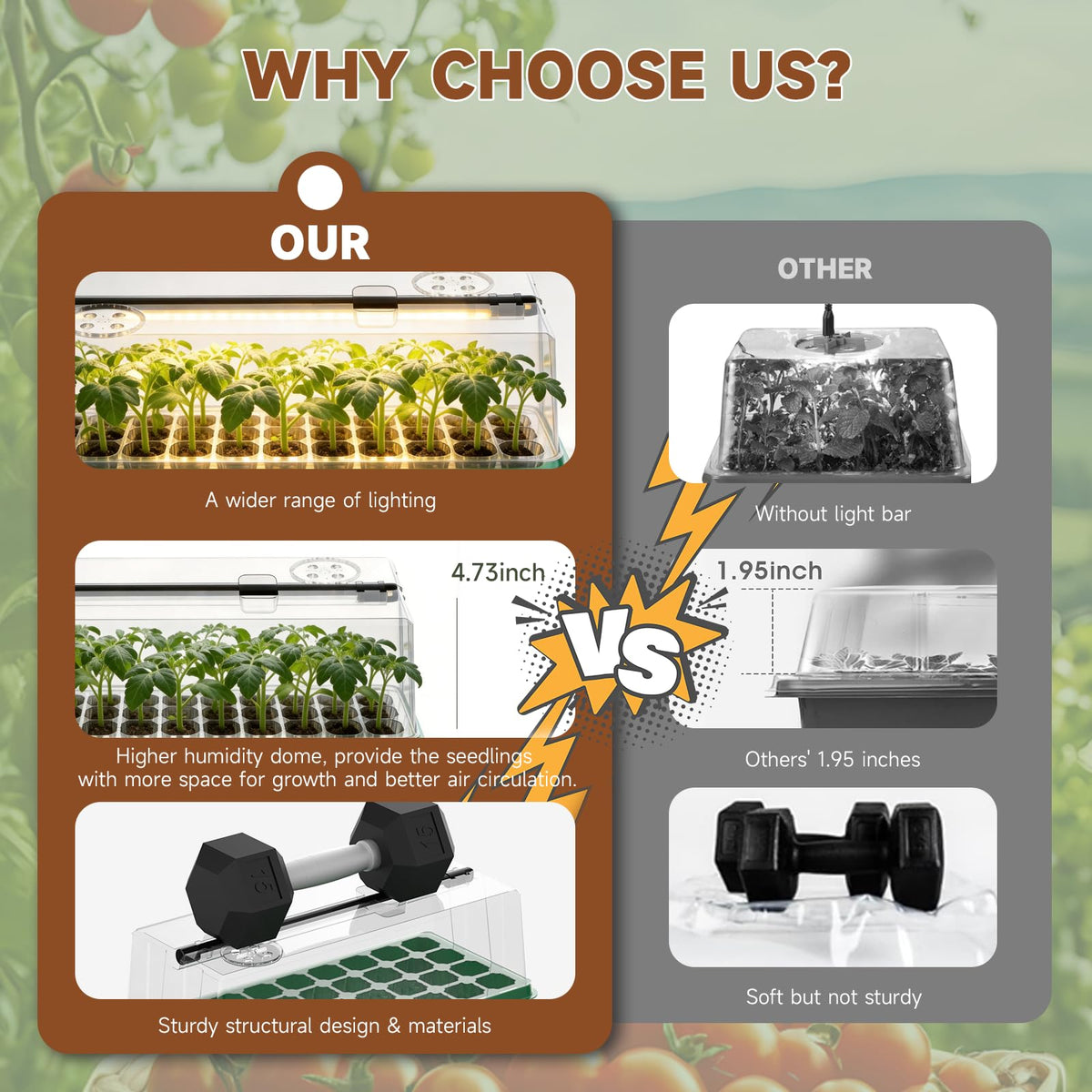 Eyriolya humidity-dome promotes moisturized germination and even growth