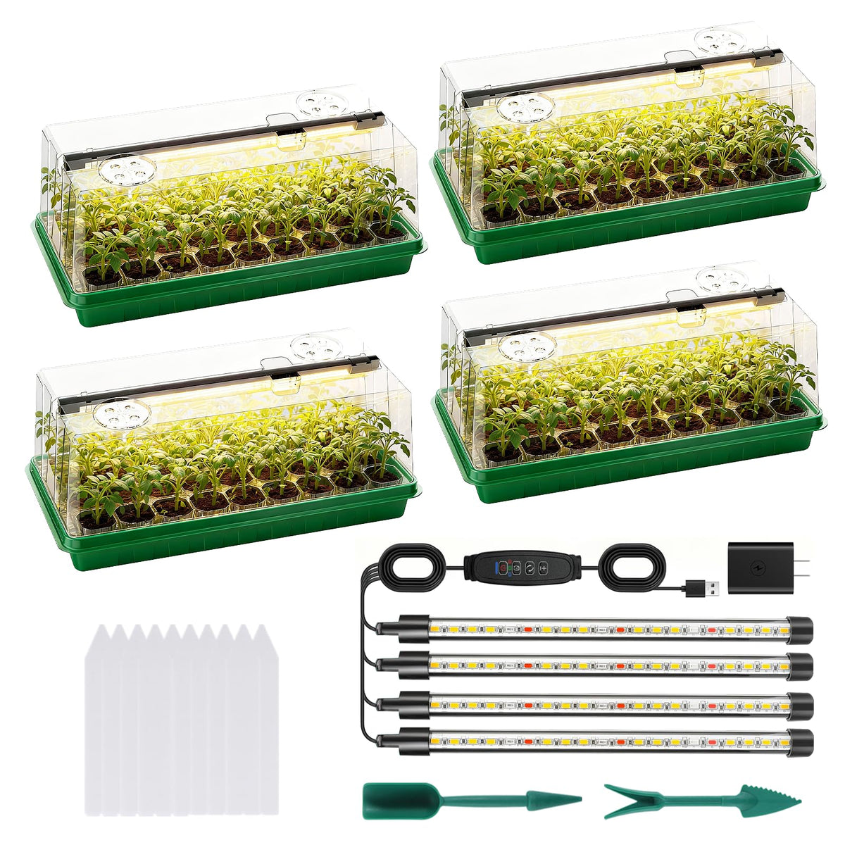 Eyriolya seed-starter-tray grow-light-setup boosts indoor seedling growth