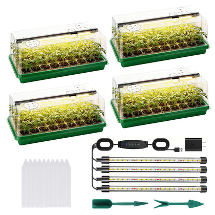 Eyriolya seed-starter-tray grow-light-setup boosts indoor seedling growth