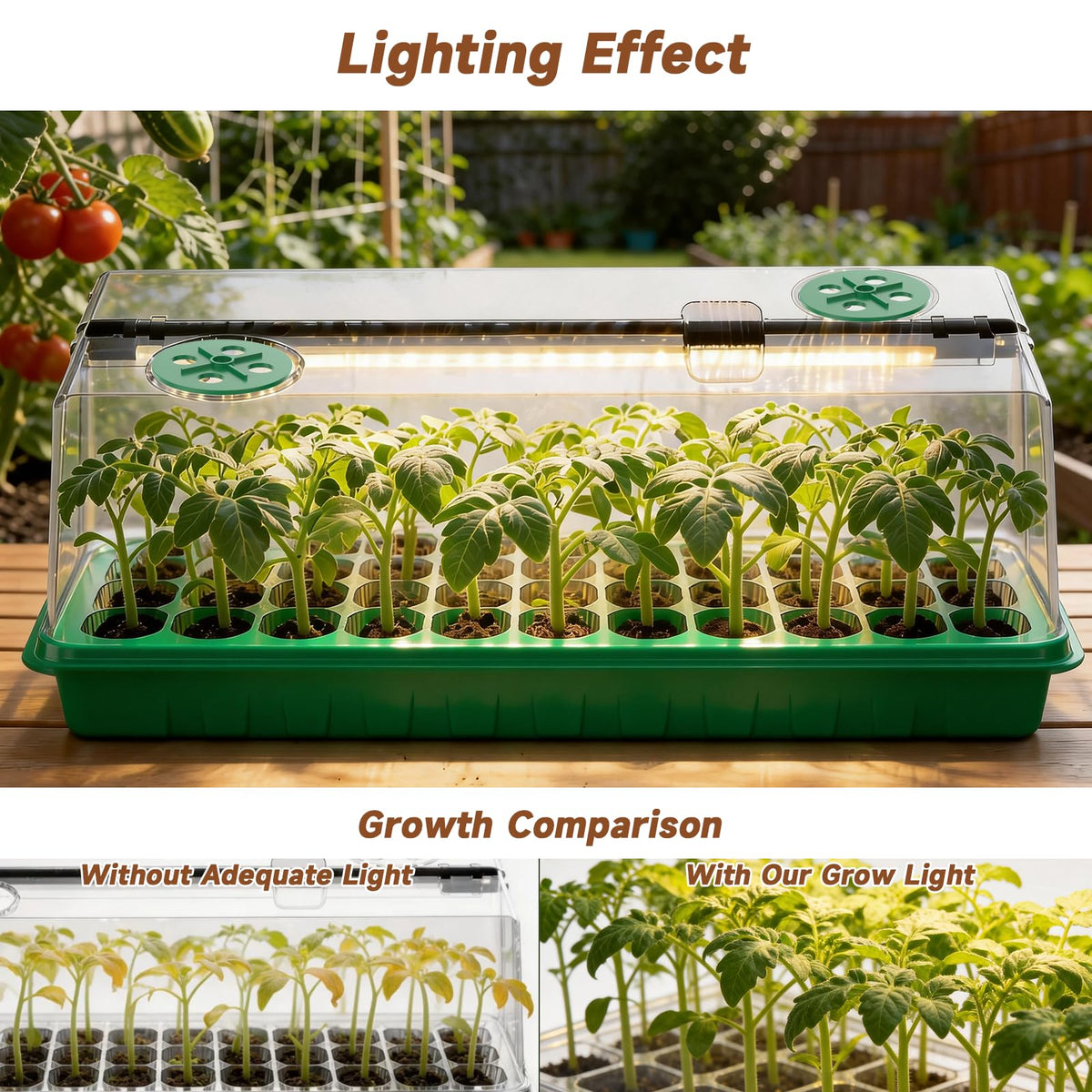 Eyriolya timer and dimmable brightness enable automatic light cycles for consistent growth.