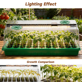 Eyriolya timer and dimmable brightness enable automatic light cycles for consistent growth.