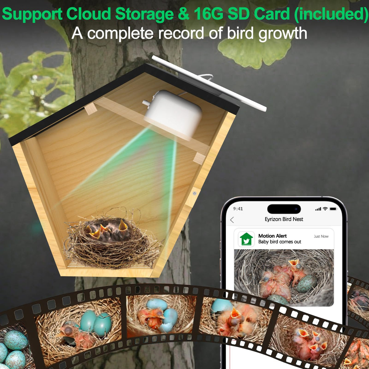 Eyrizon Full-color night vision captures birds clearly at dawn and dusk.