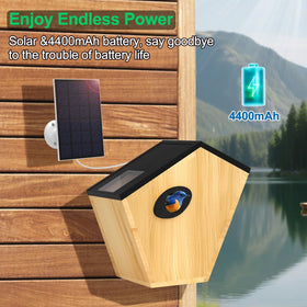 Eyrizon Natural wood enclosure blends with outdoor spaces for educational viewing.