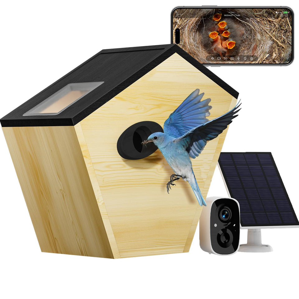 Eyrizon Smart Bird House with 5MP camera provides real-time nesting view for bird lovers.