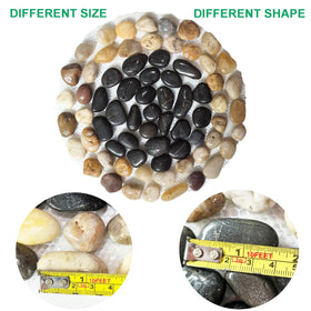 EYZH natural river pebbles highlighting color and earthy appeal for gardens